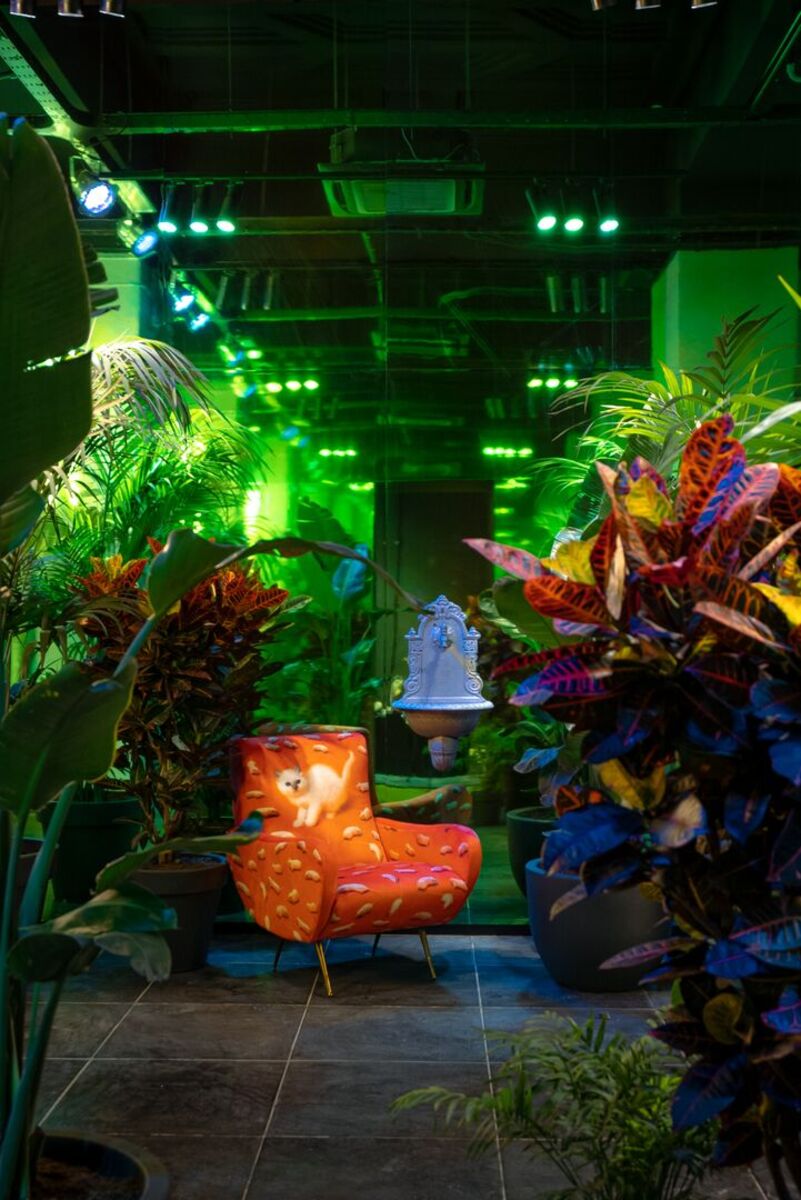 Colab Which sustainable materials...?